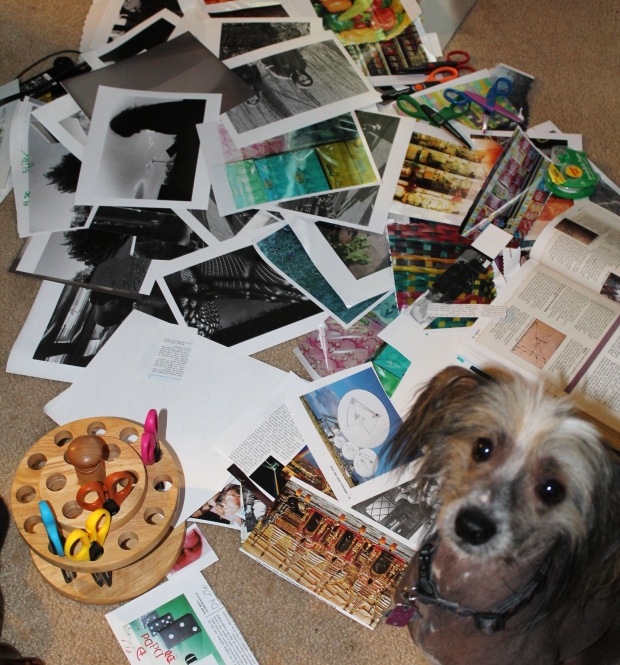 My dog was nosy and not helpful as he                     walked over my materials.