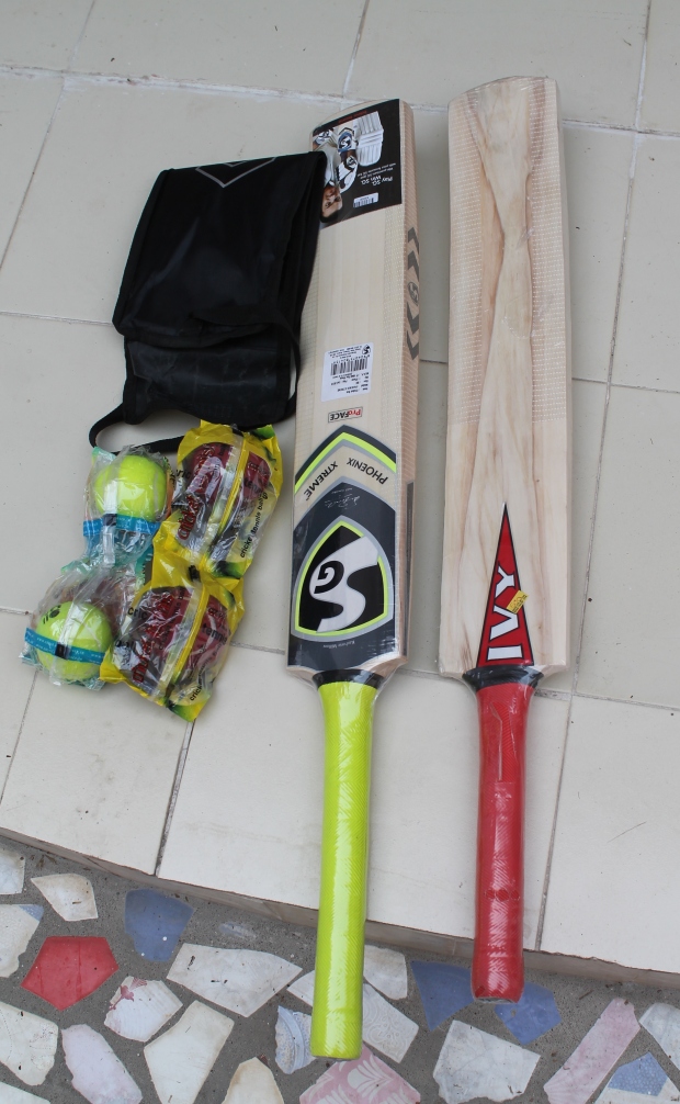 A cricket bat and balls for each home!